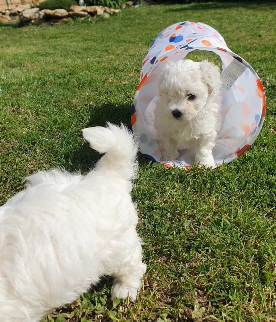 Déjà 1 mois et demi !